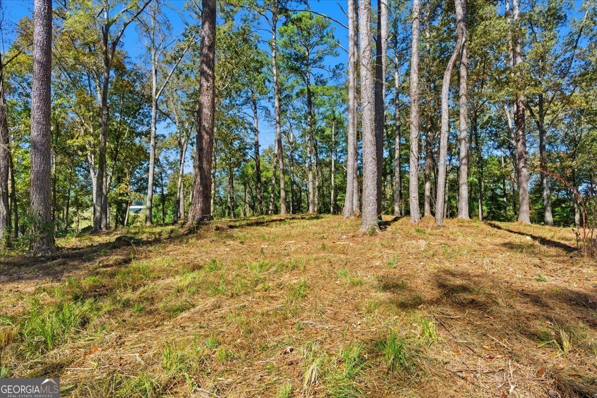 0 Cave Spring Road Property Photo 35