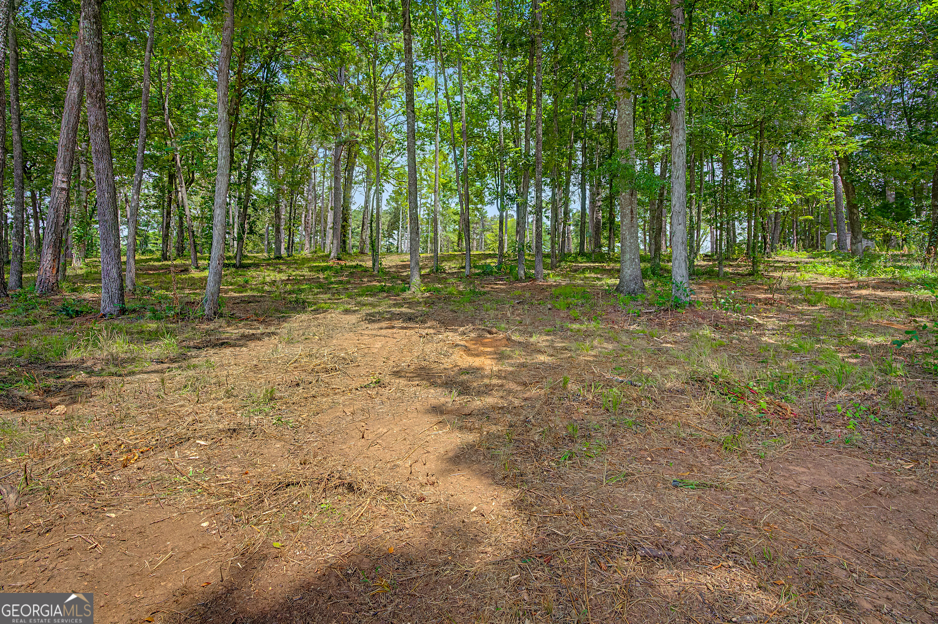 0 Cave Spring Road Property Photo 53