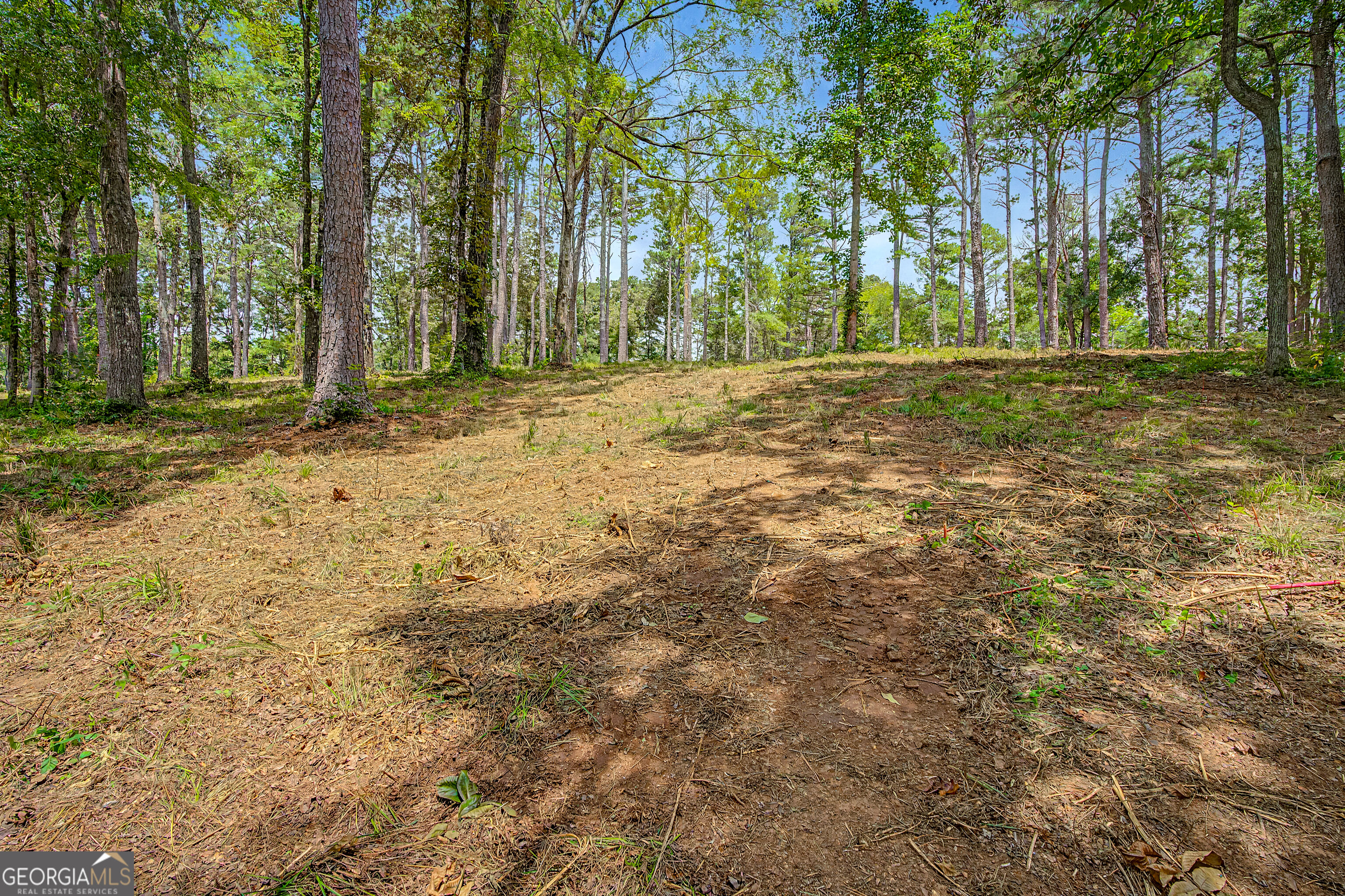 0 Cave Spring Road Property Photo 54