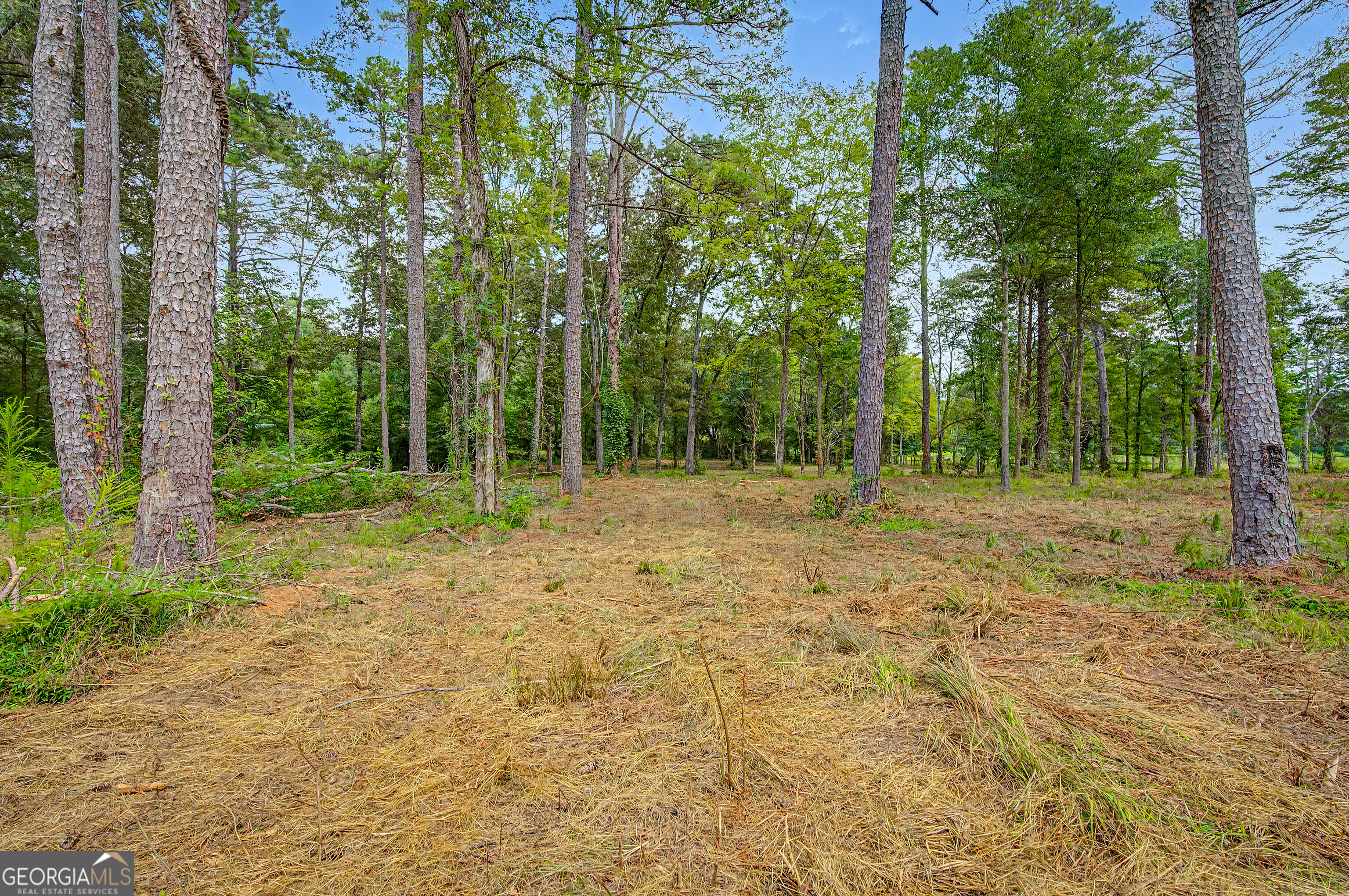 0 Cave Spring Road Property Photo 58