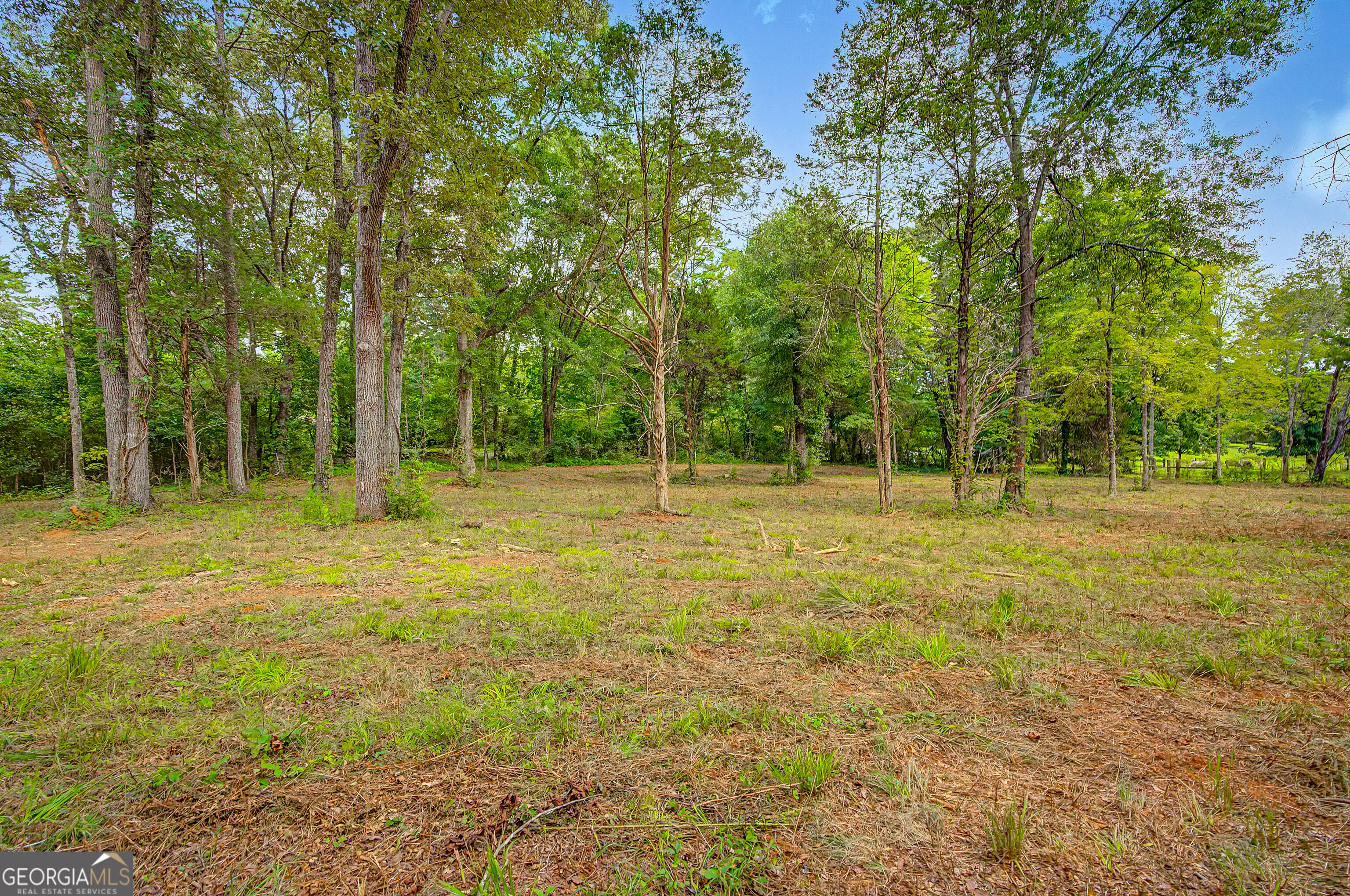 0 Cave Spring Road Property Photo 60