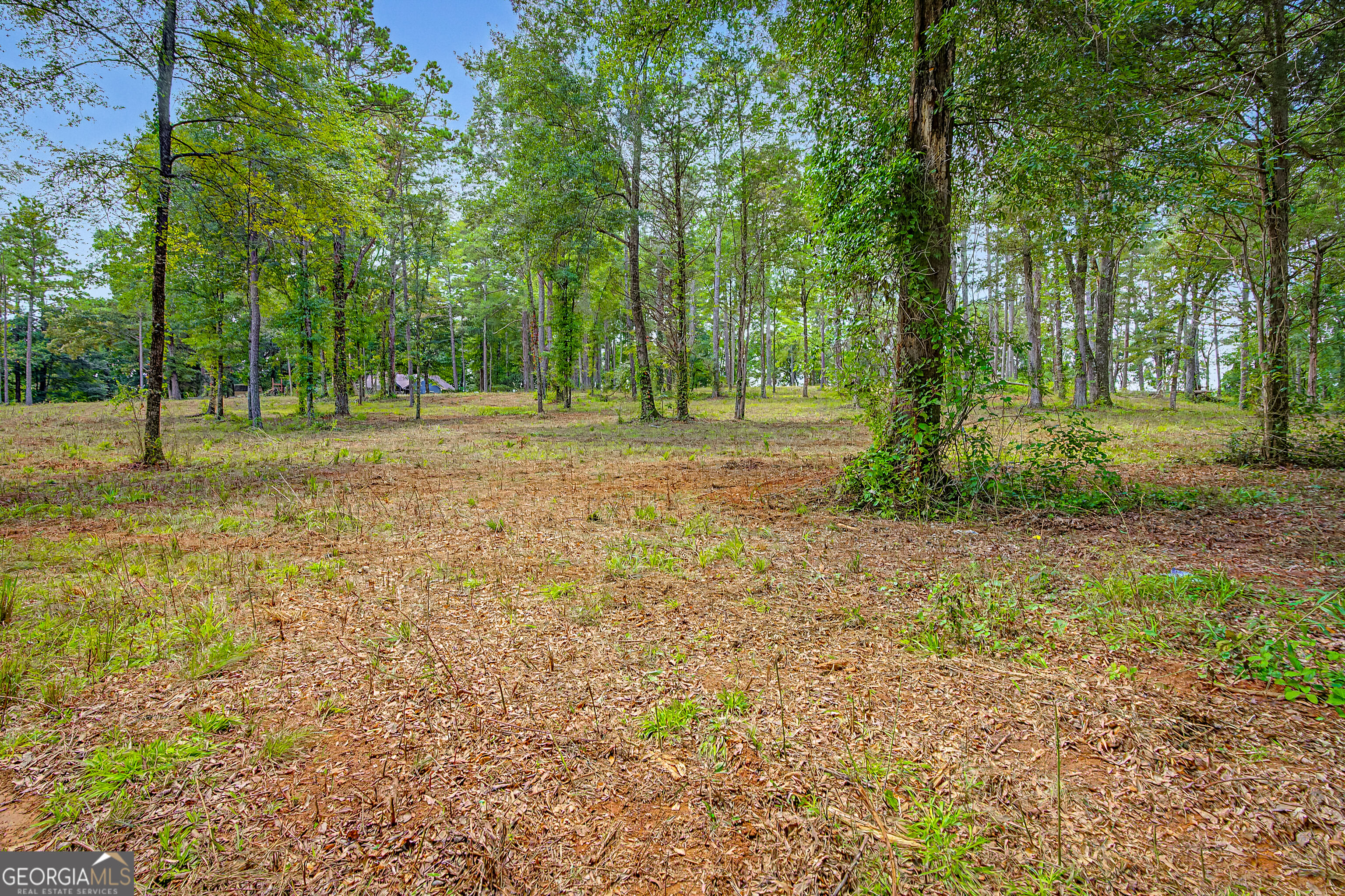 0 Cave Spring Road Property Photo 61