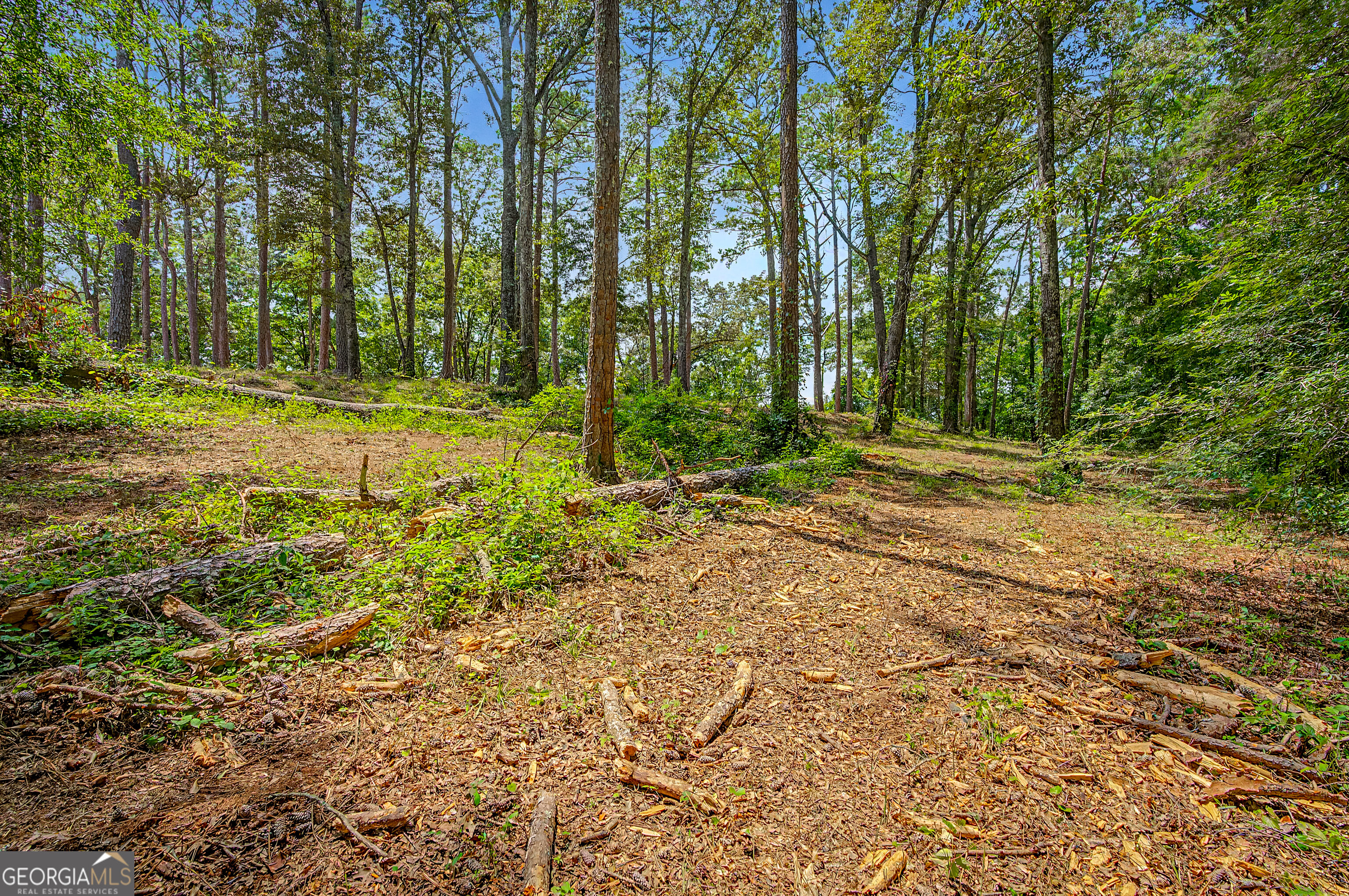 0 Cave Spring Road Property Photo 62