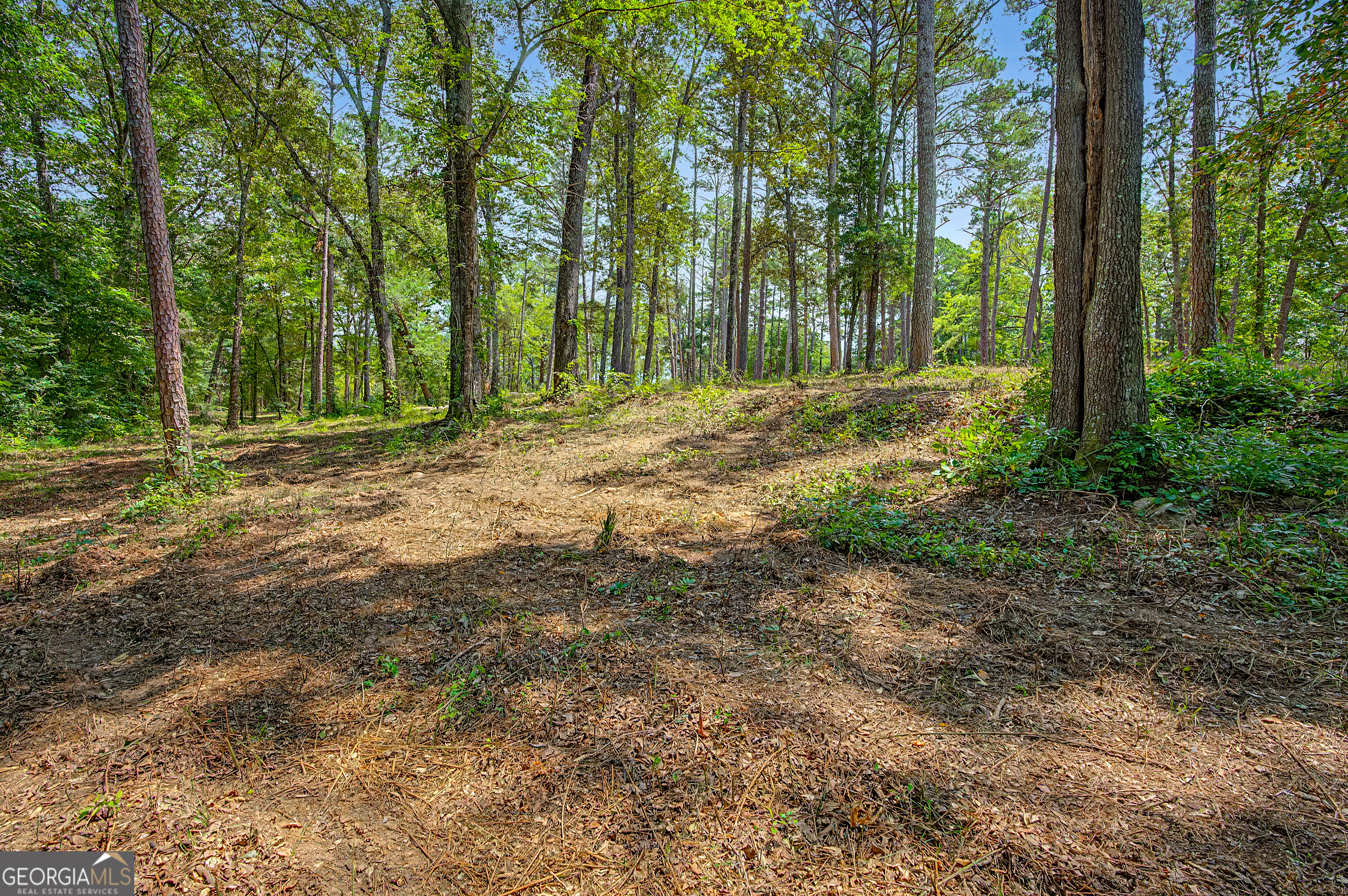 0 Cave Spring Road Property Photo 63