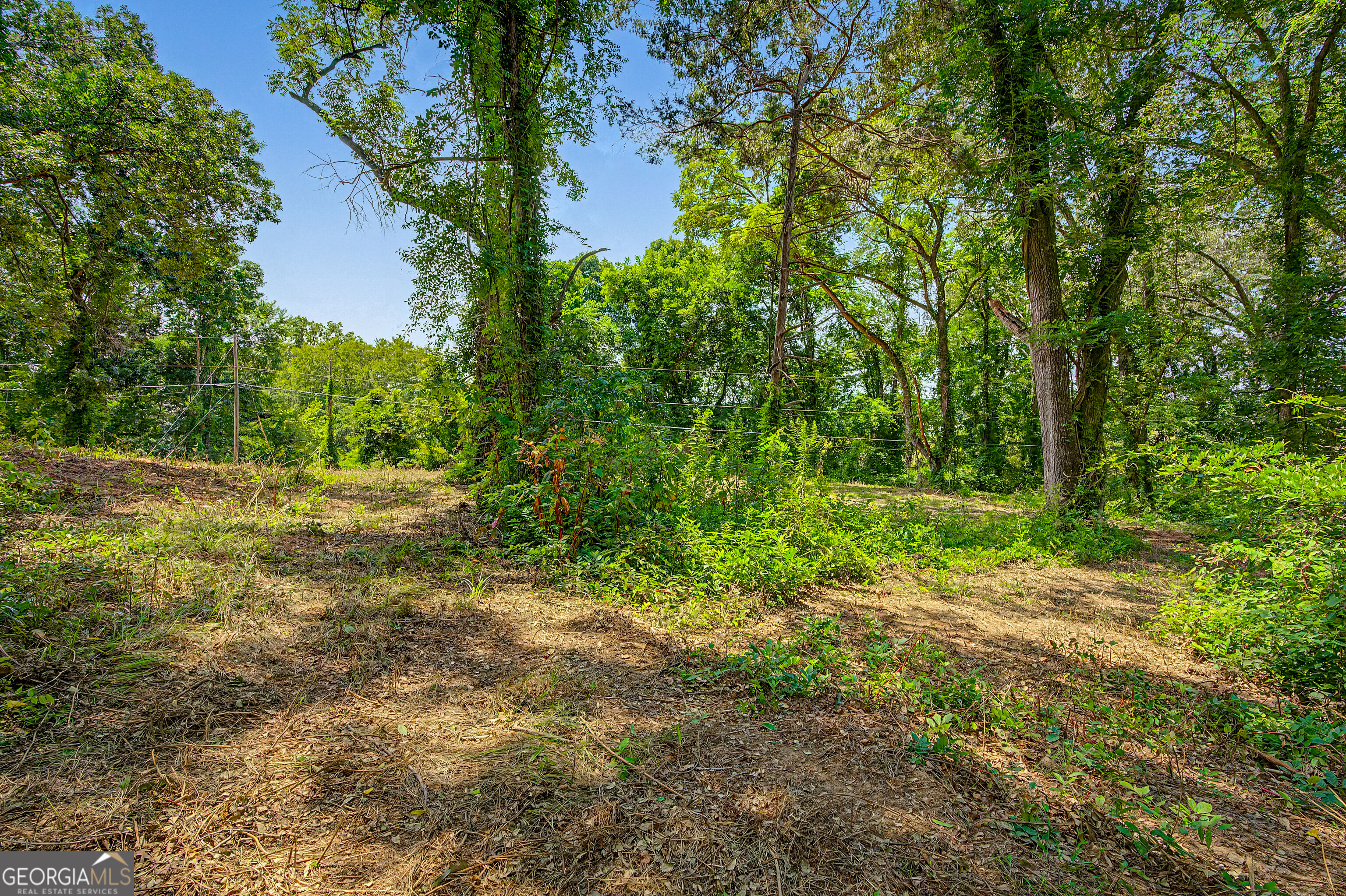 0 Cave Spring Road Property Photo 64