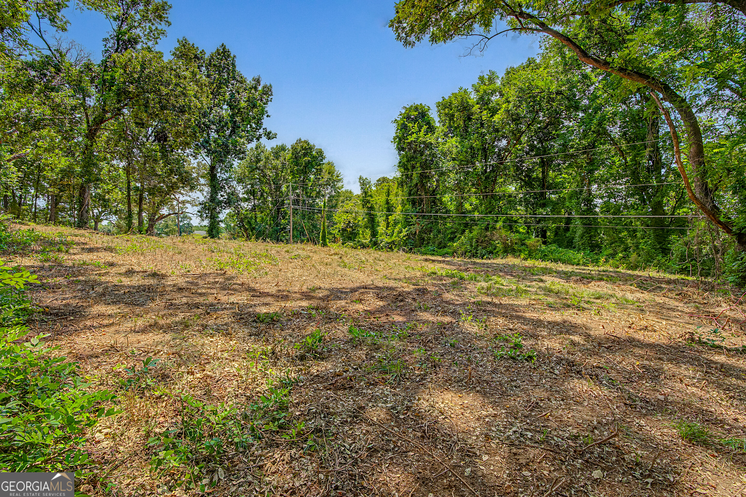 0 Cave Spring Road Property Photo 65