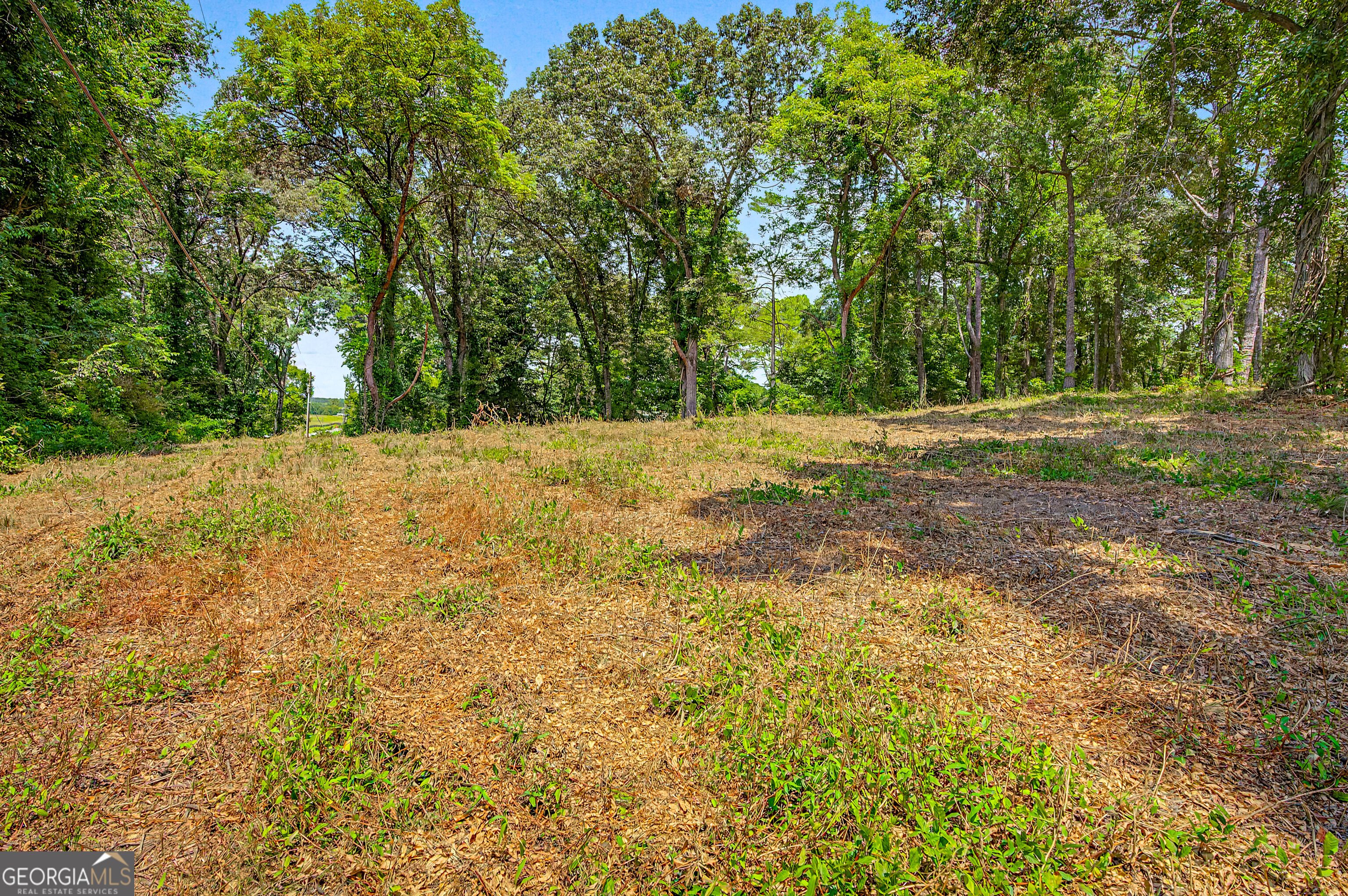 0 Cave Spring Road Property Photo 66