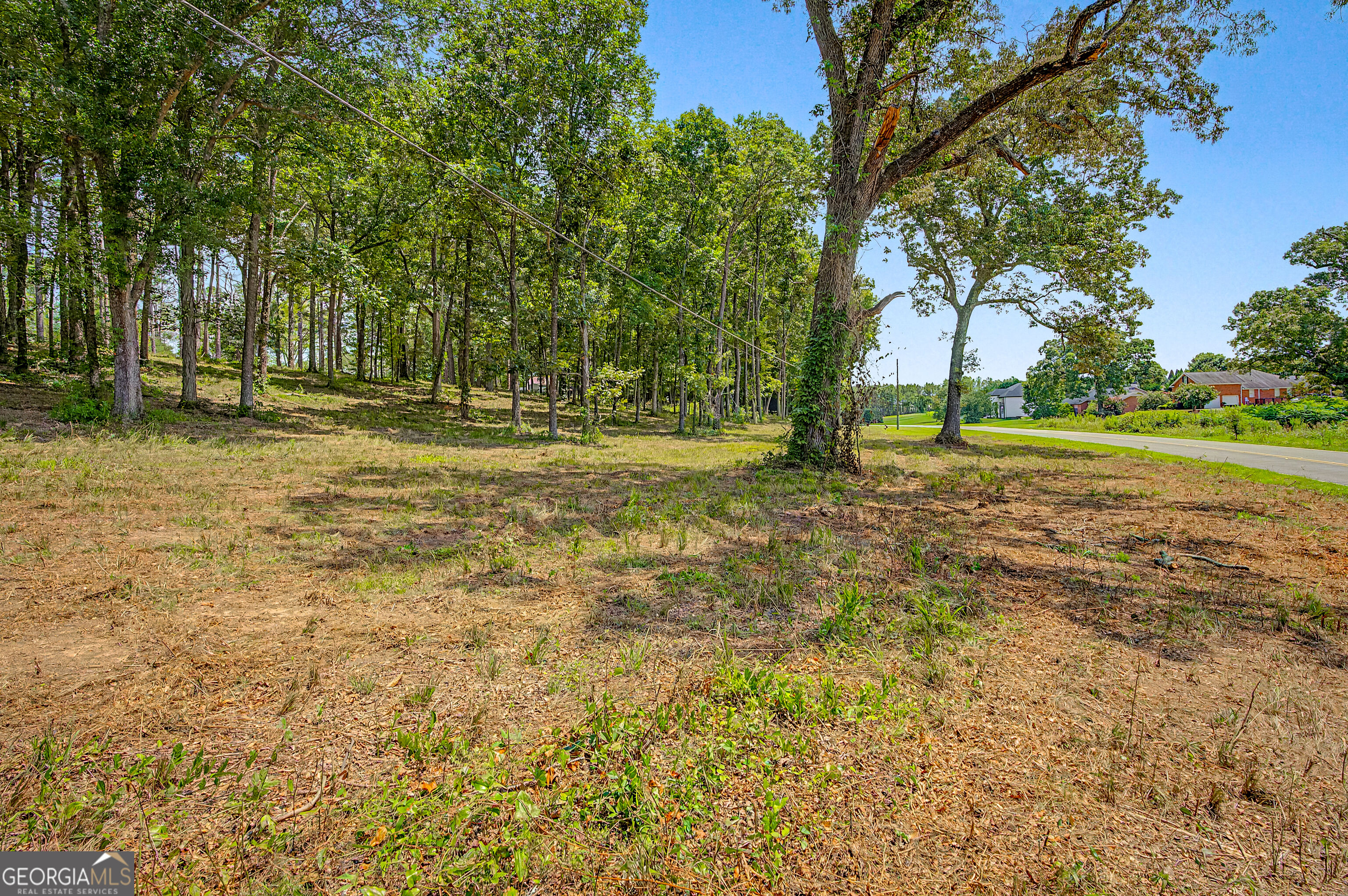 0 Cave Spring Road Property Photo 68