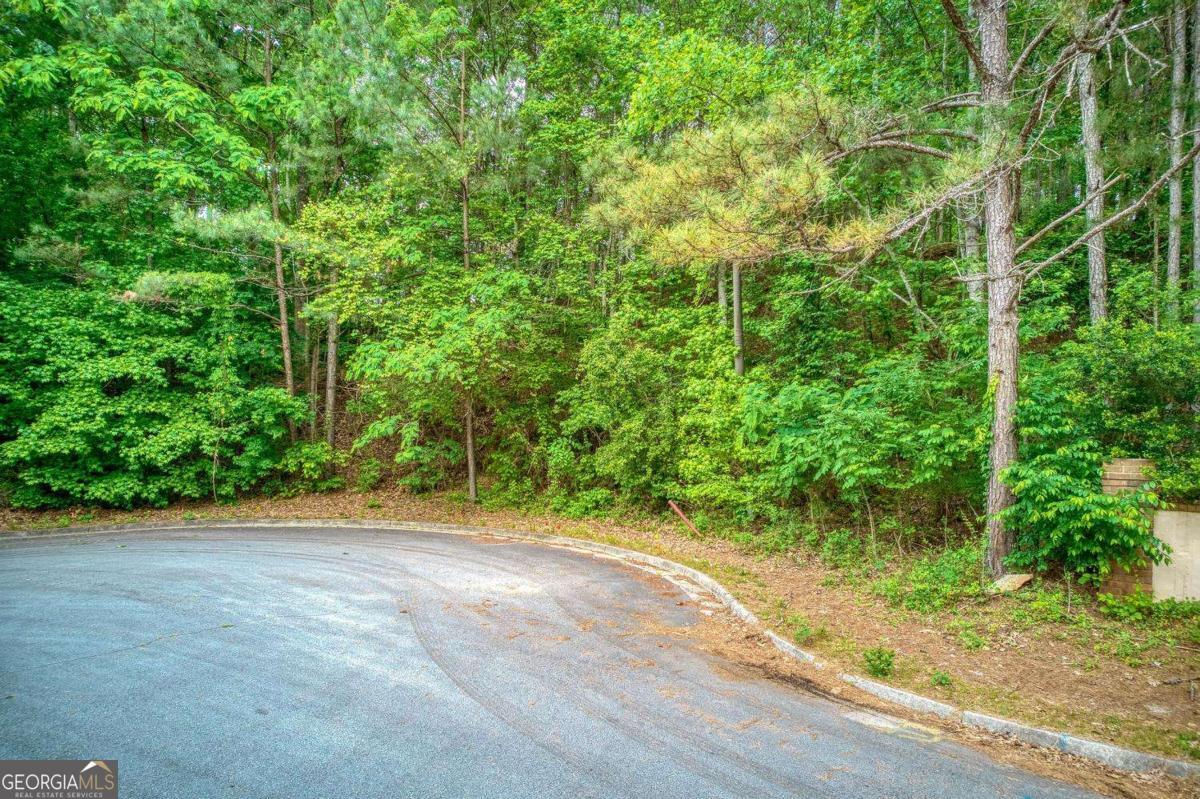 2715 Brass Lantern Court Property Photo 2