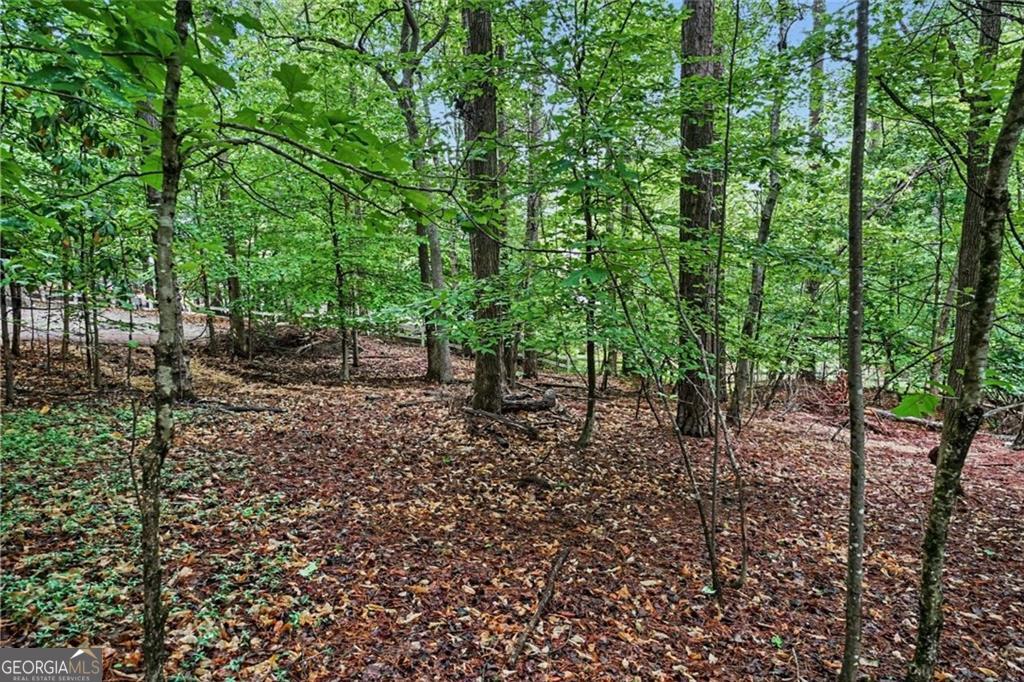 3838 Wesley Chapel Road Property Photo 1