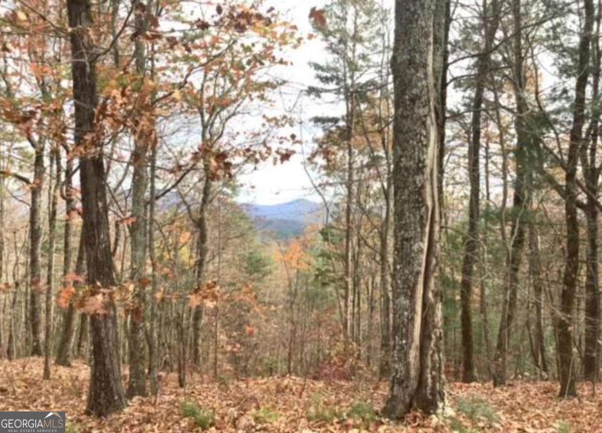 Lot 17 Abbott Mill Road Property Photo 2