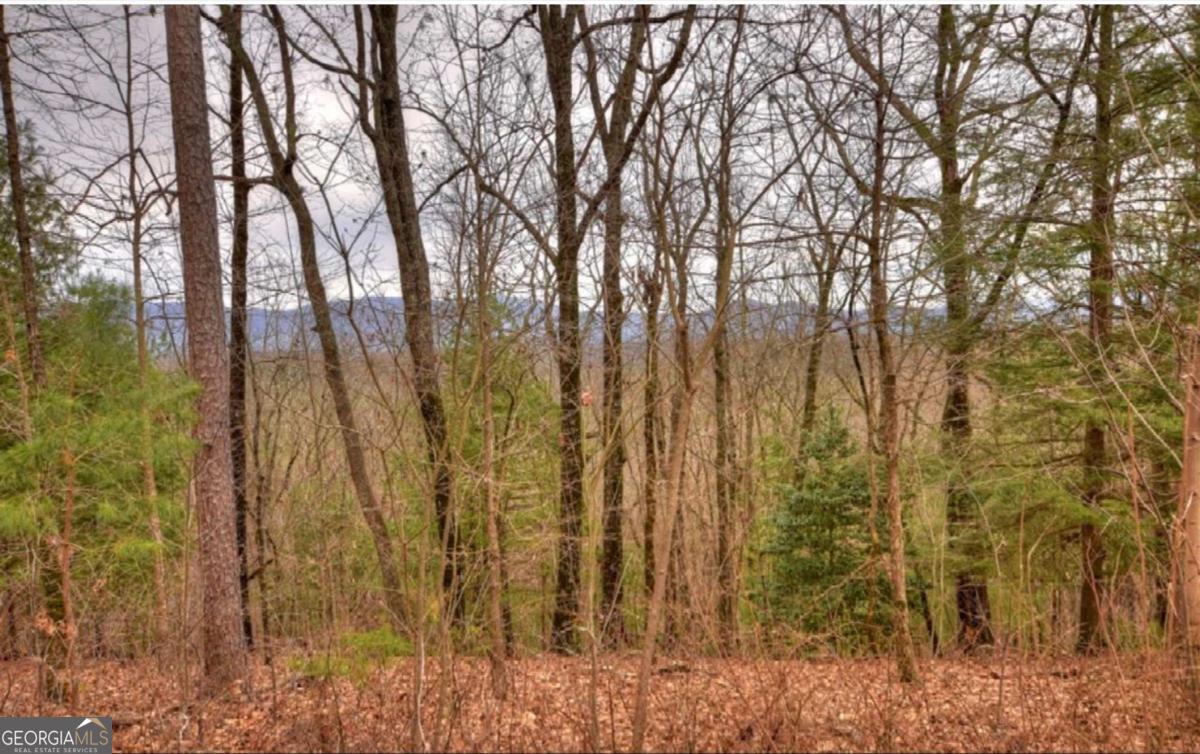 Lot 17 Abbott Mill Road Property Photo 3