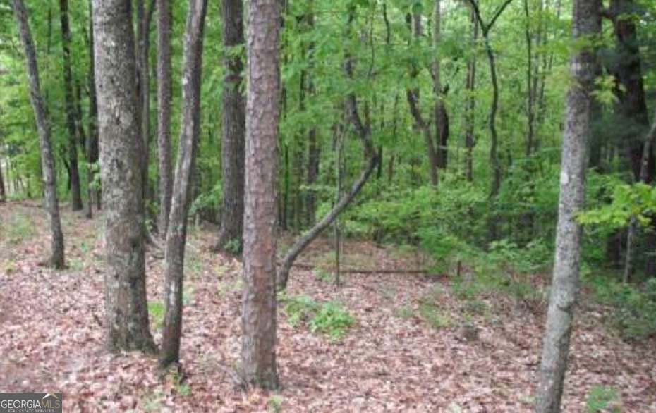 Lot 17 Abbott Mill Road Property Photo 4