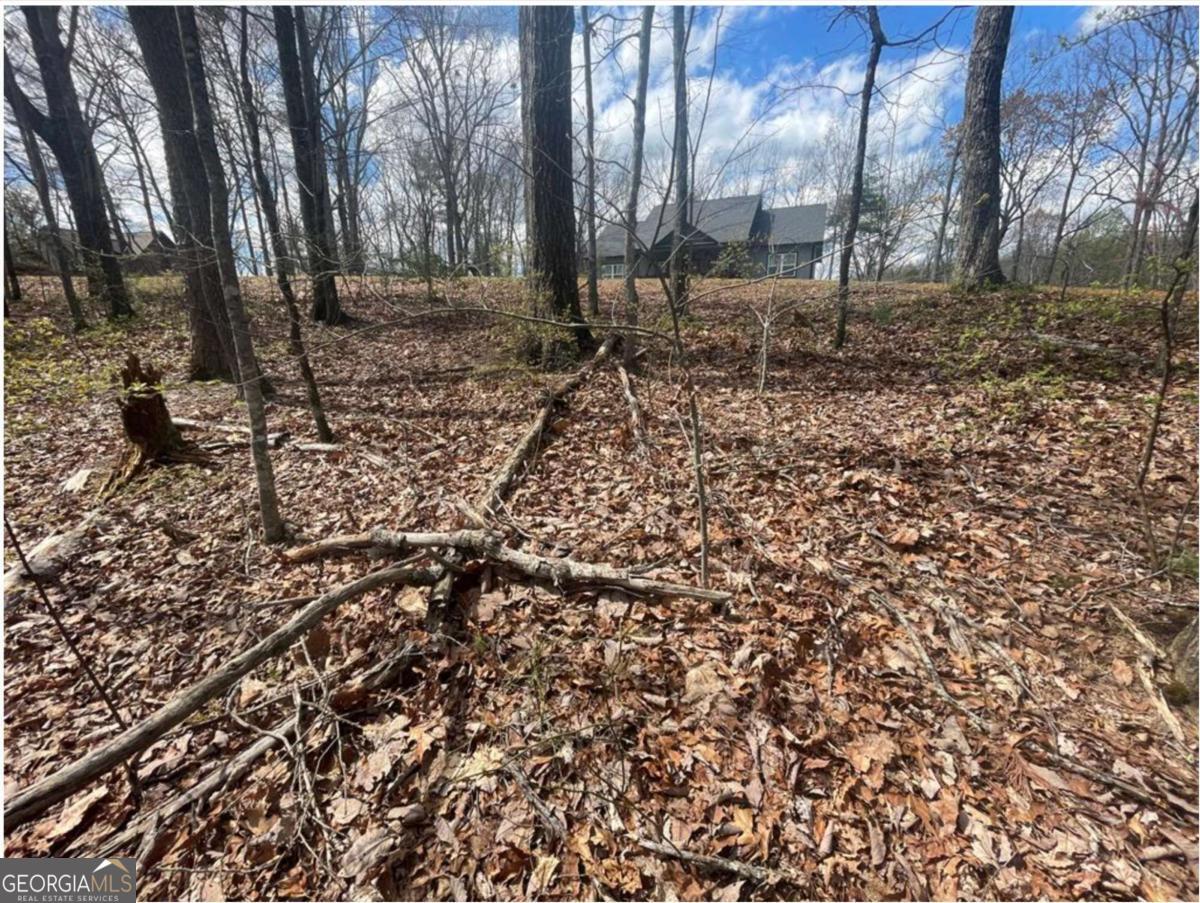Lot 17 Abbott Mill Road Property Photo 6