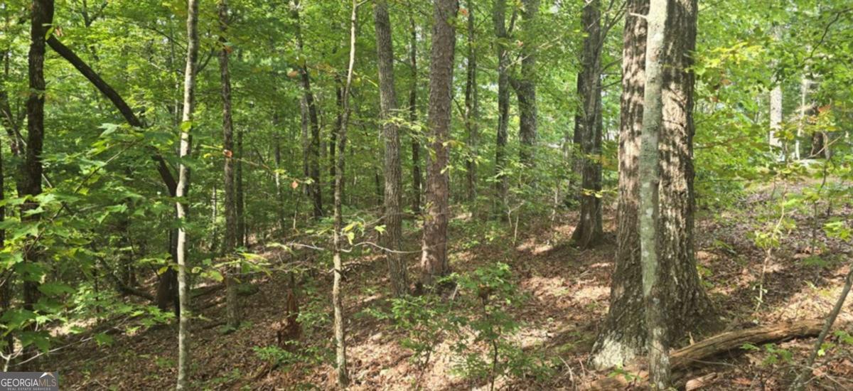 Lot 17 Abbott Mill Road Property Photo 7