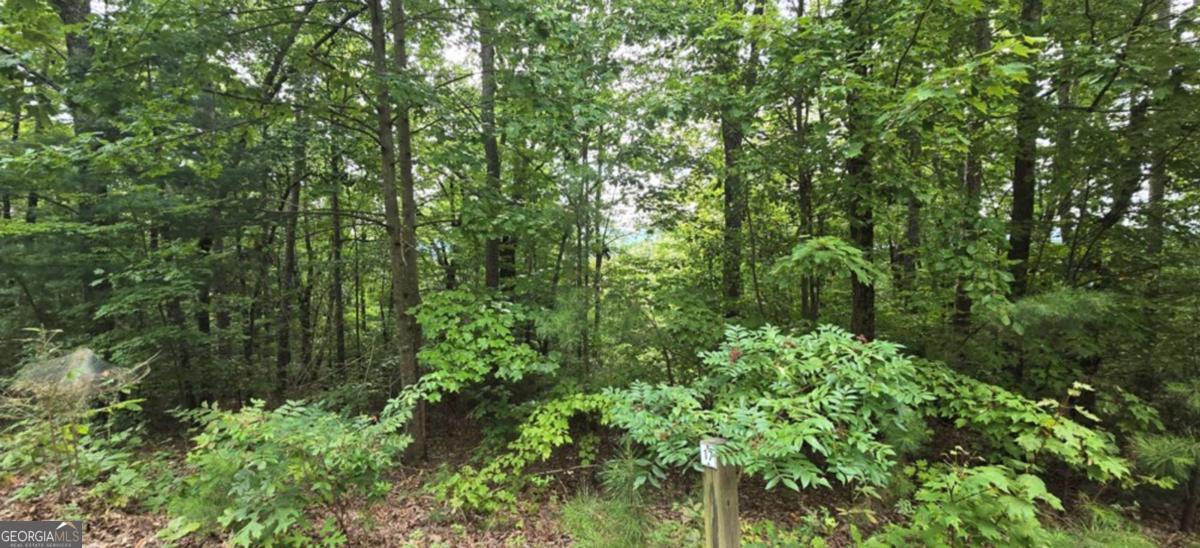 Lot 17 Abbott Mill Road Property Photo 8