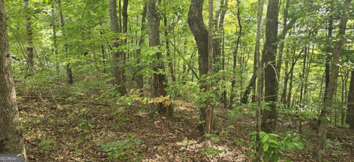Lot 17 Abbott Mill Road Property Photo 9