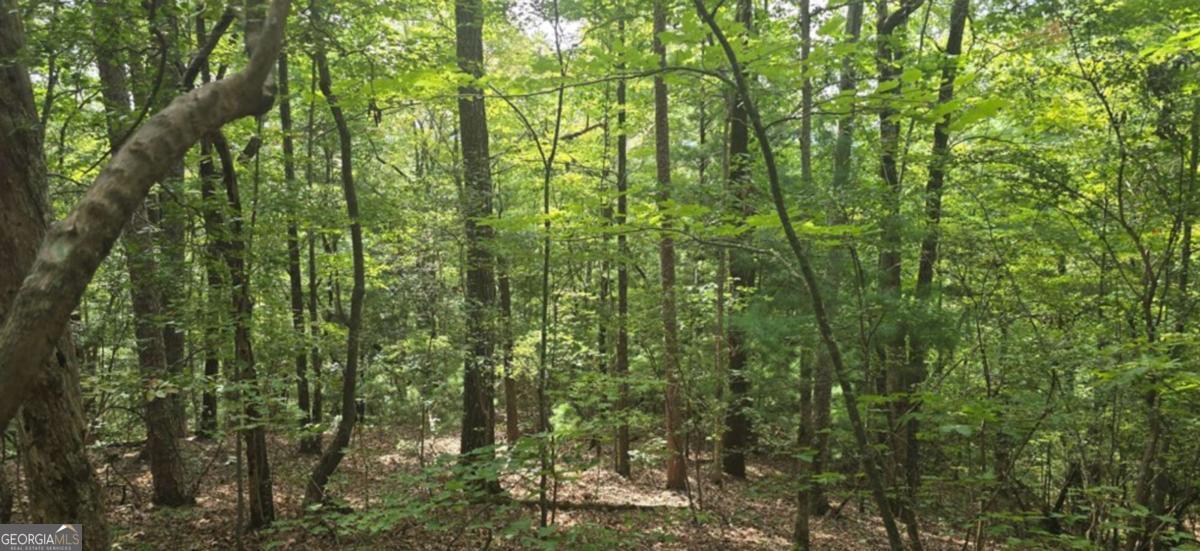 Lot 17 Abbott Mill Road Property Photo 10
