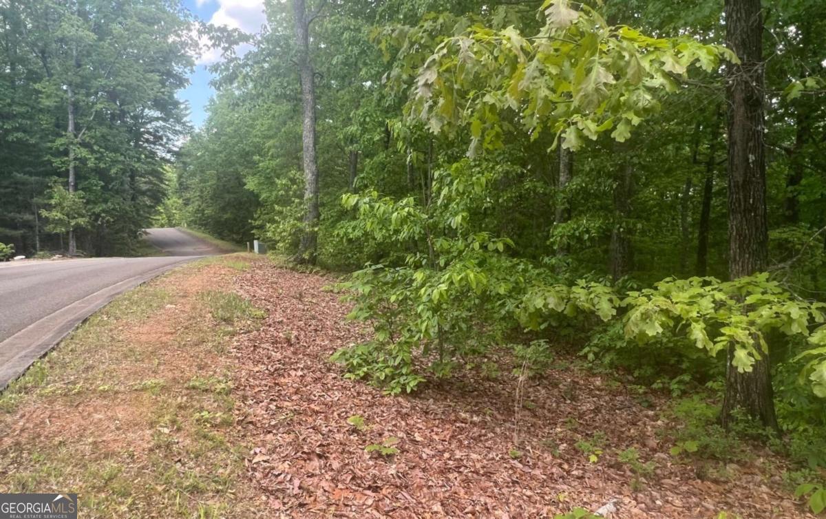 Lot 17 Abbott Mill Road Property Photo 11