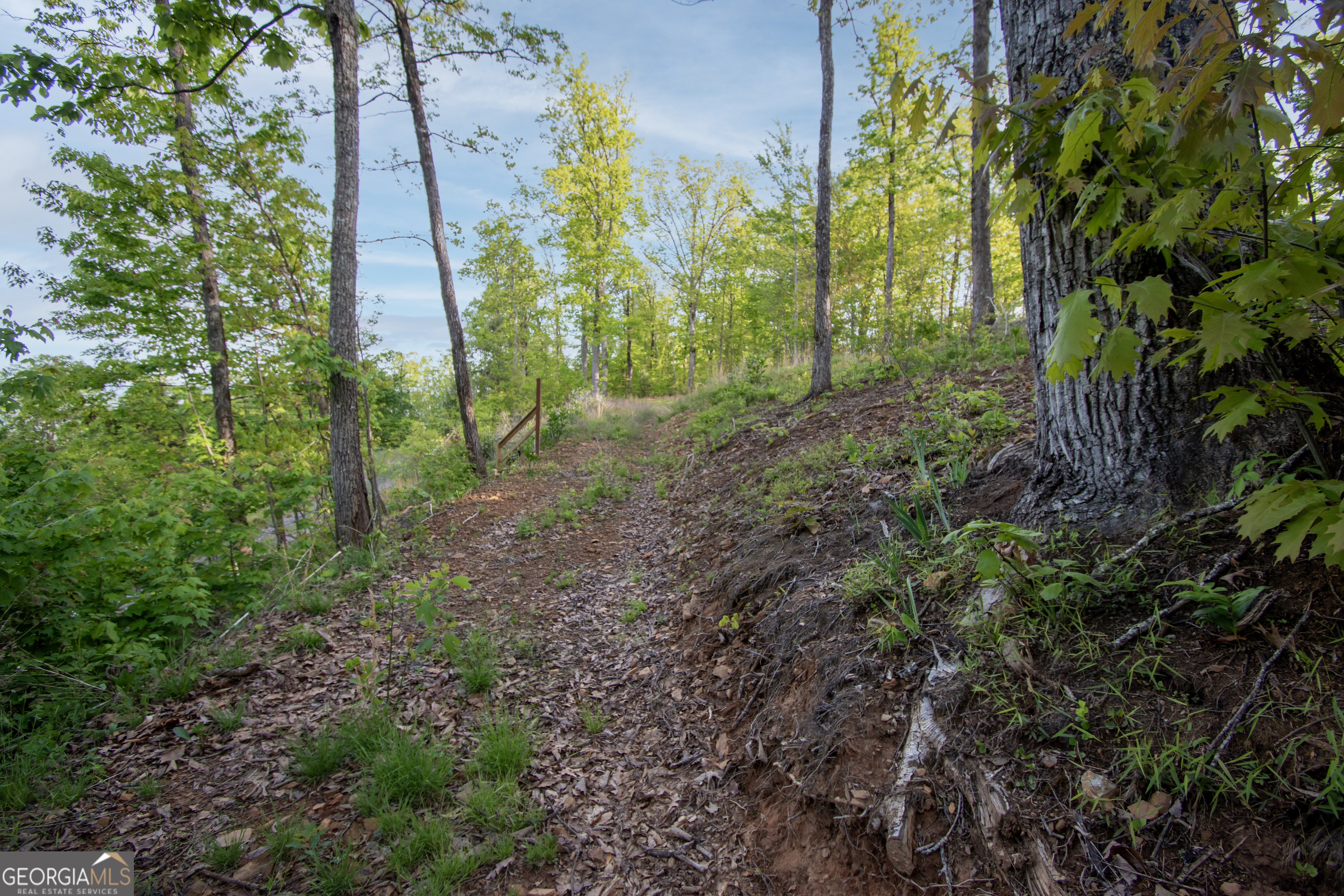43/44 Timberwood Mountain Estates Property Photo 4
