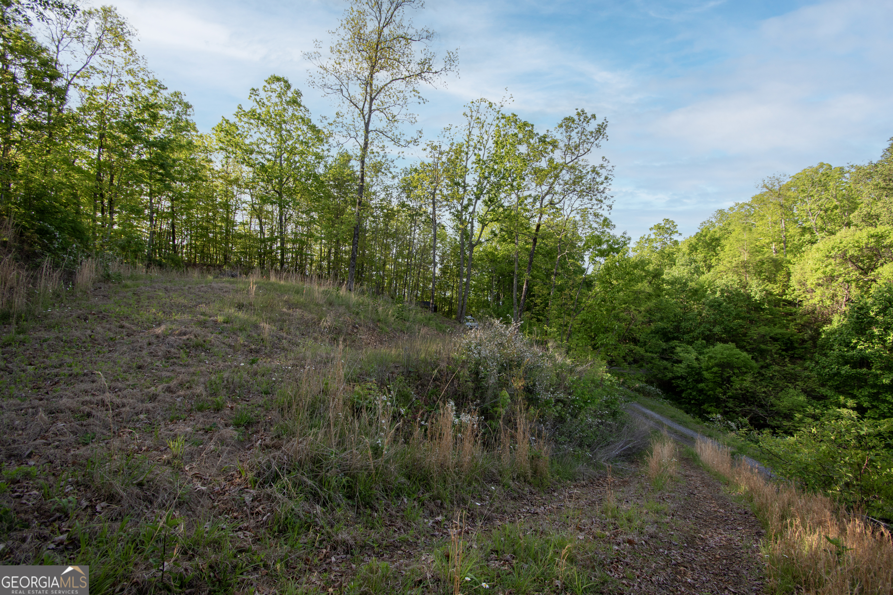 43/44 Timberwood Mountain Estates Property Photo 5