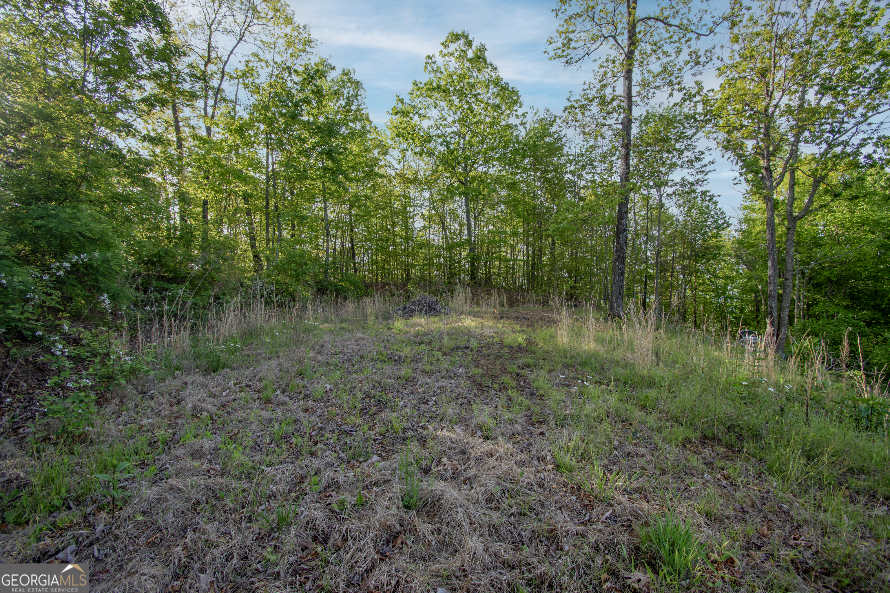 43/44 Timberwood Mountain Estates Property Photo 6