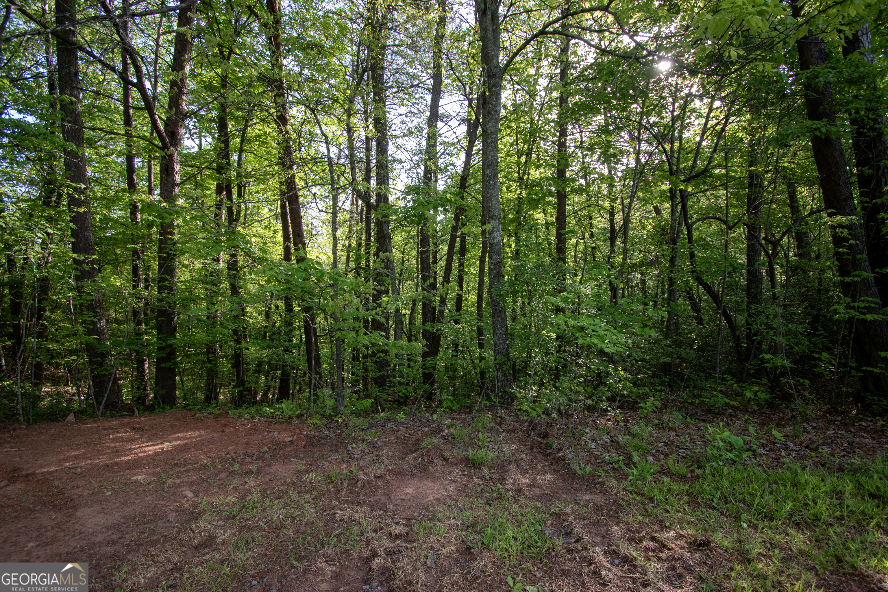 Lot 36 Mountain Top Road Property Photo 7