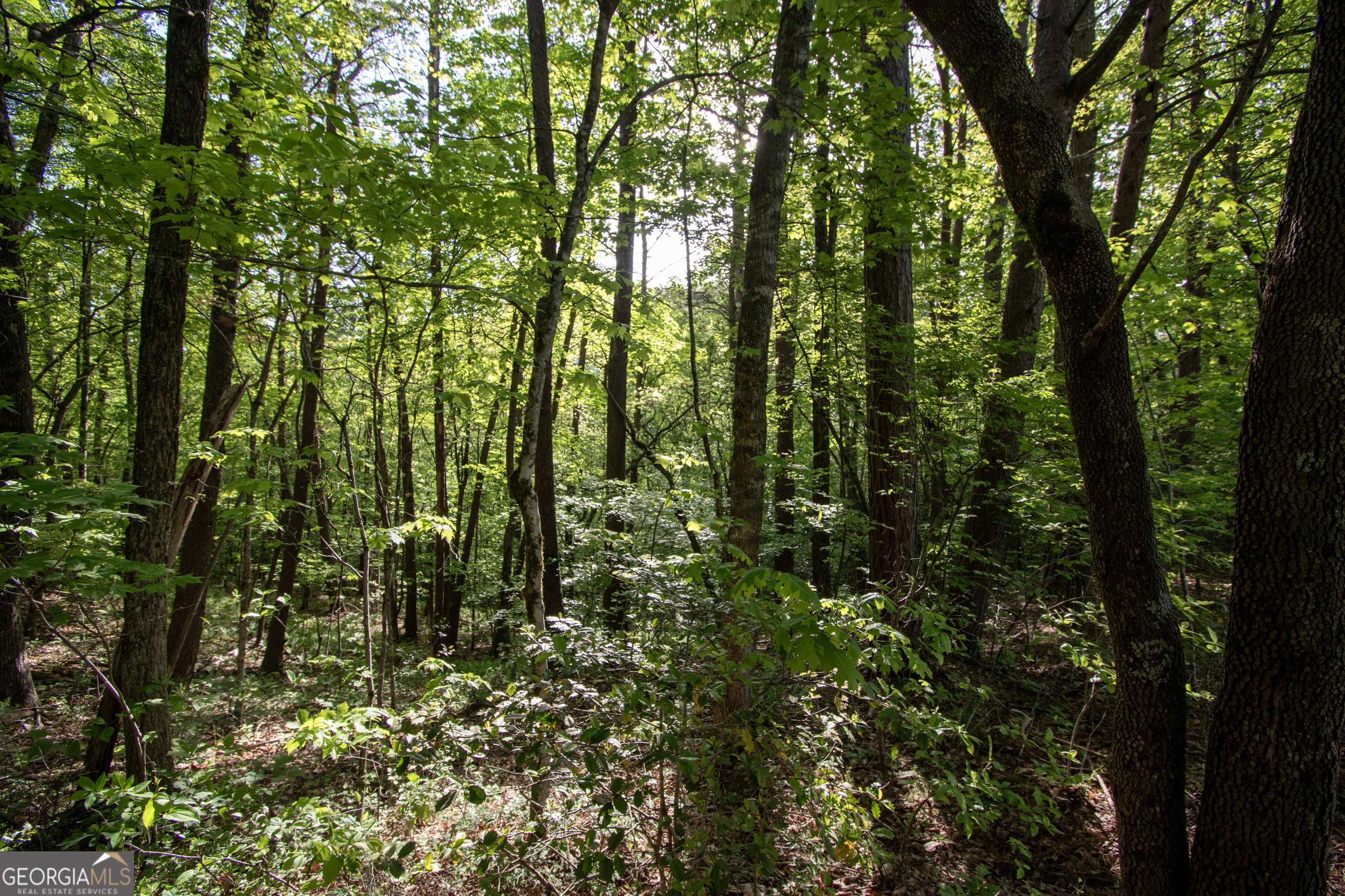 Lot 36 Mountain Top Road Property Photo 8
