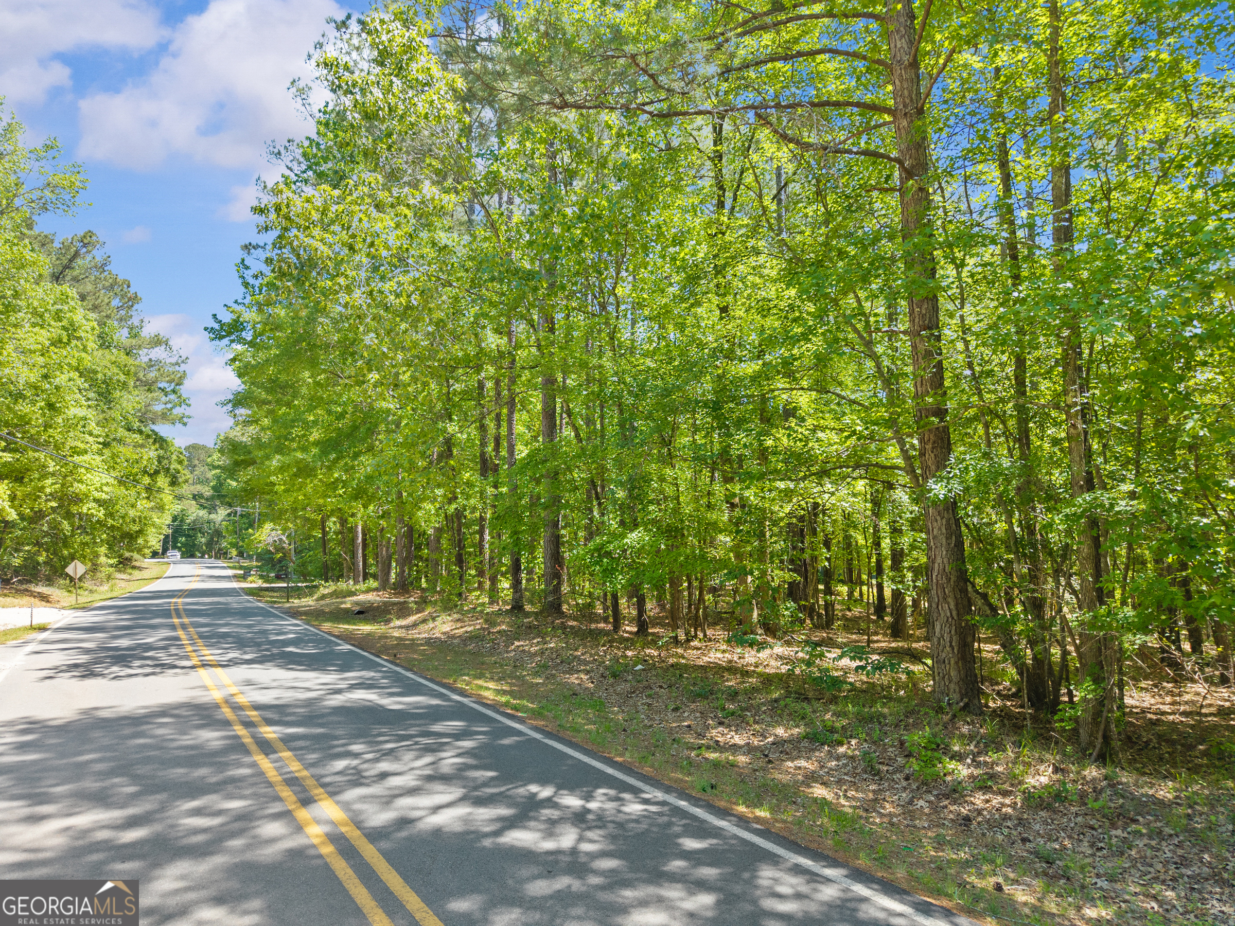 Lot 19 Apalachee Woods Trail Property Photo 1