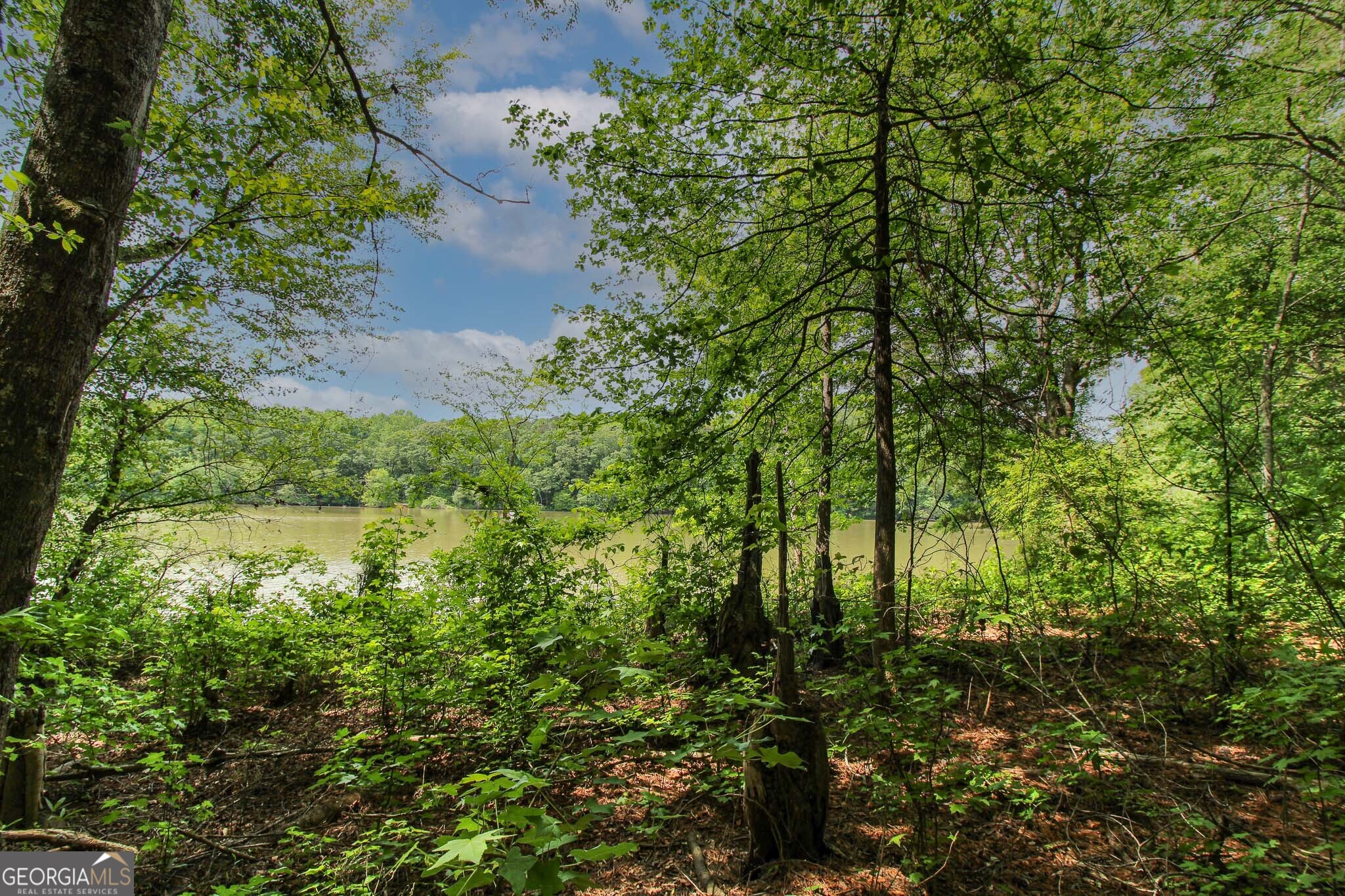 0 Mccarty Road Property Photo 8
