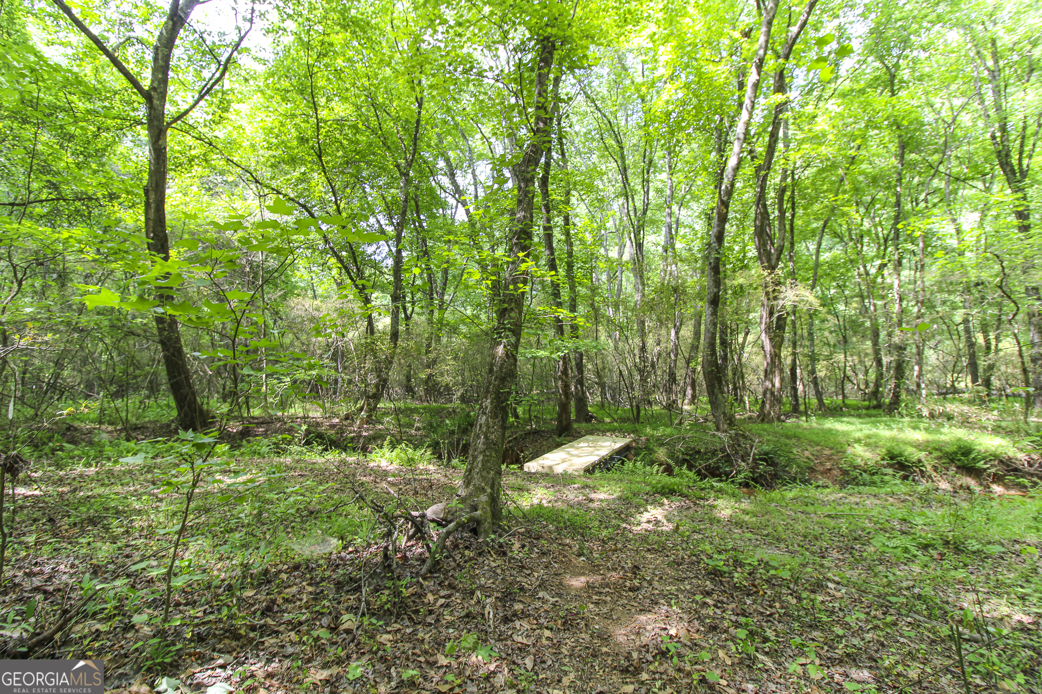 0 Mccarty Road Property Photo 15