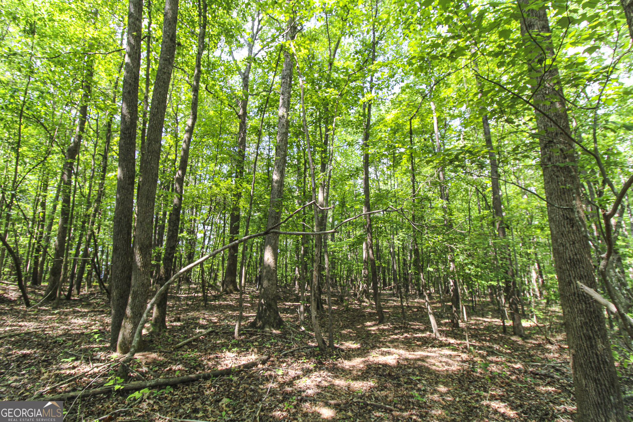 0 Mccarty Road Property Photo 16
