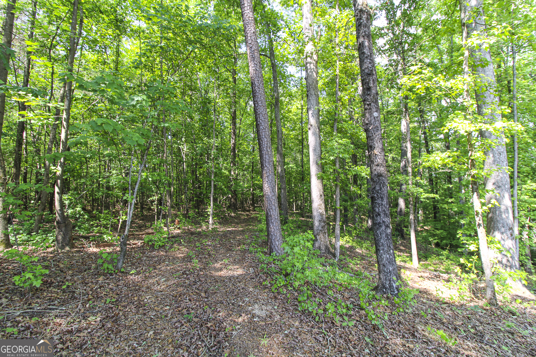0 Mccarty Road Property Photo 17