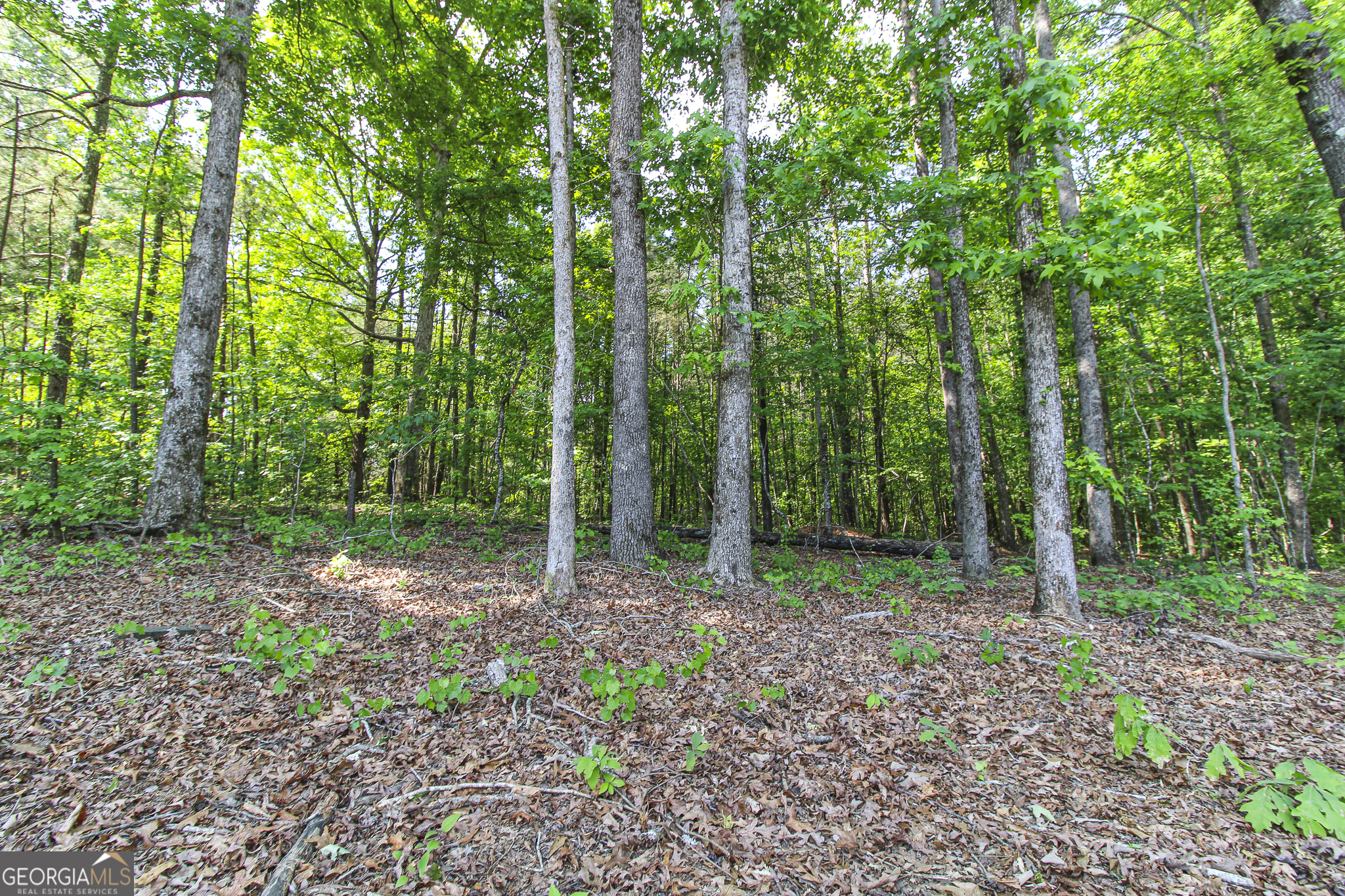 0 Mccarty Road Property Photo 18