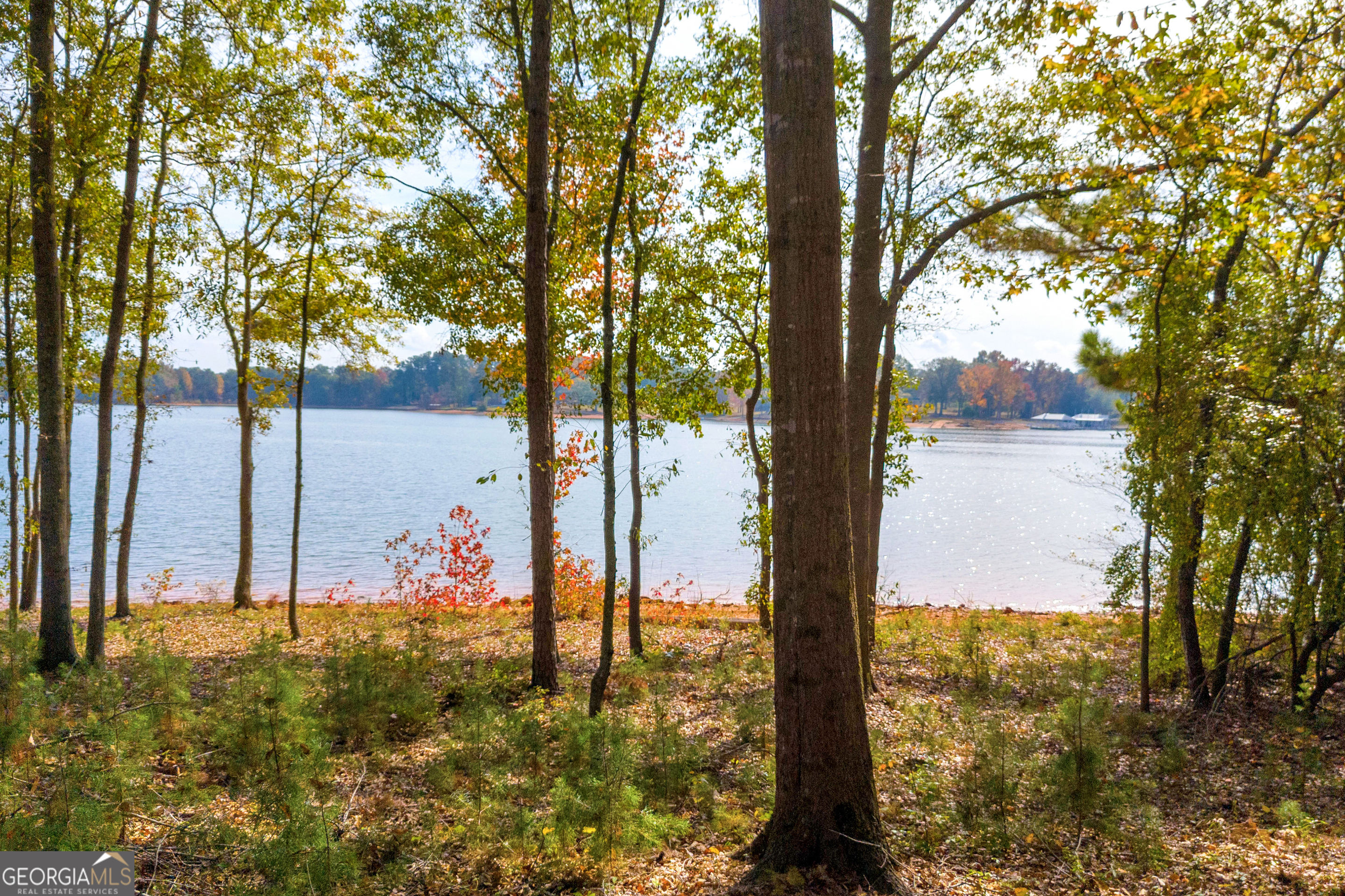 Lot 17 Sidney Point Property Photo 11