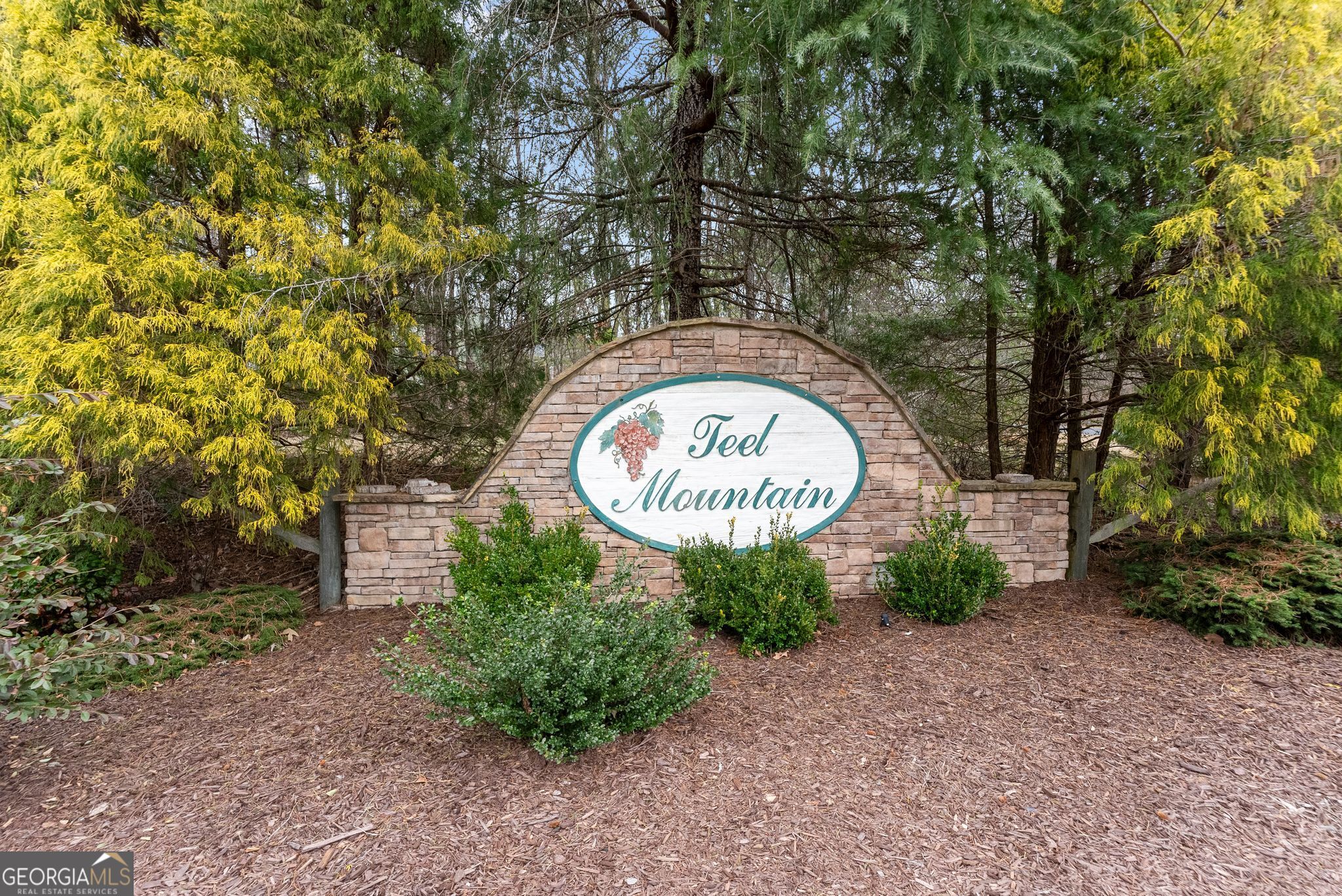 24 Teel Mountain Drive Property Photo 5