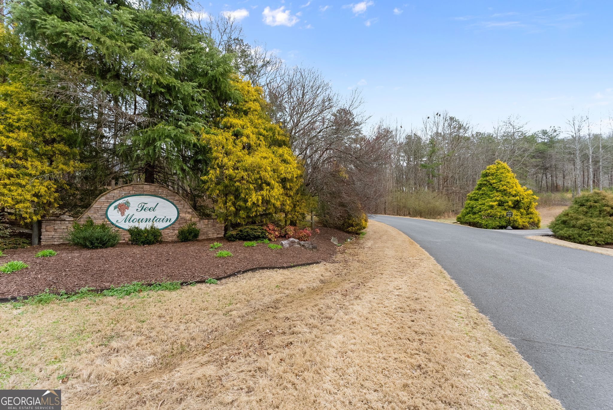 24 Teel Mountain Drive Property Photo 52