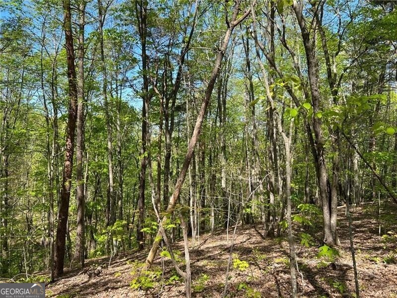 269 Appleberry Mountain Road