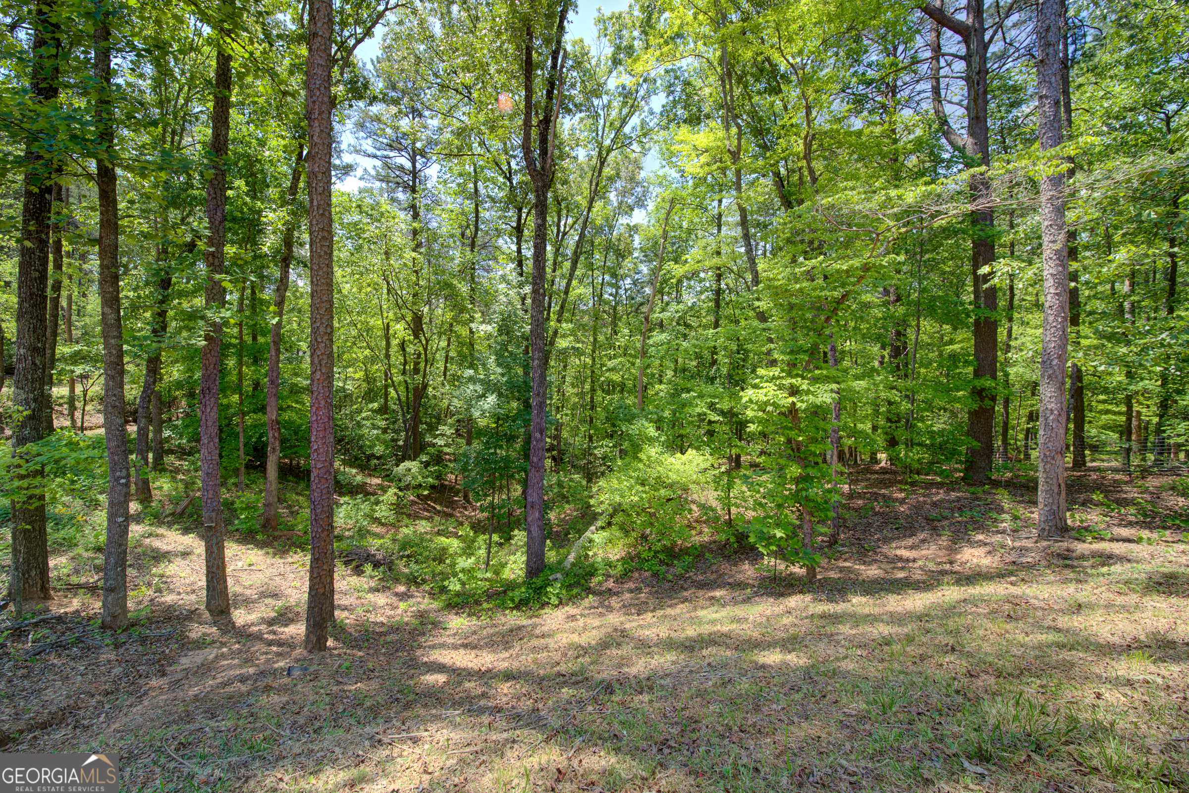 2182 Ben Higgins Road Property Photo 23