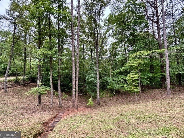 2182 Ben Higgins Road Property Photo 27