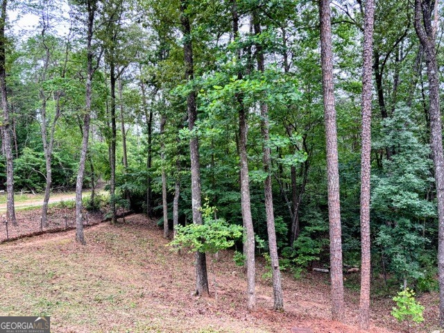 2182 Ben Higgins Road Property Photo 29