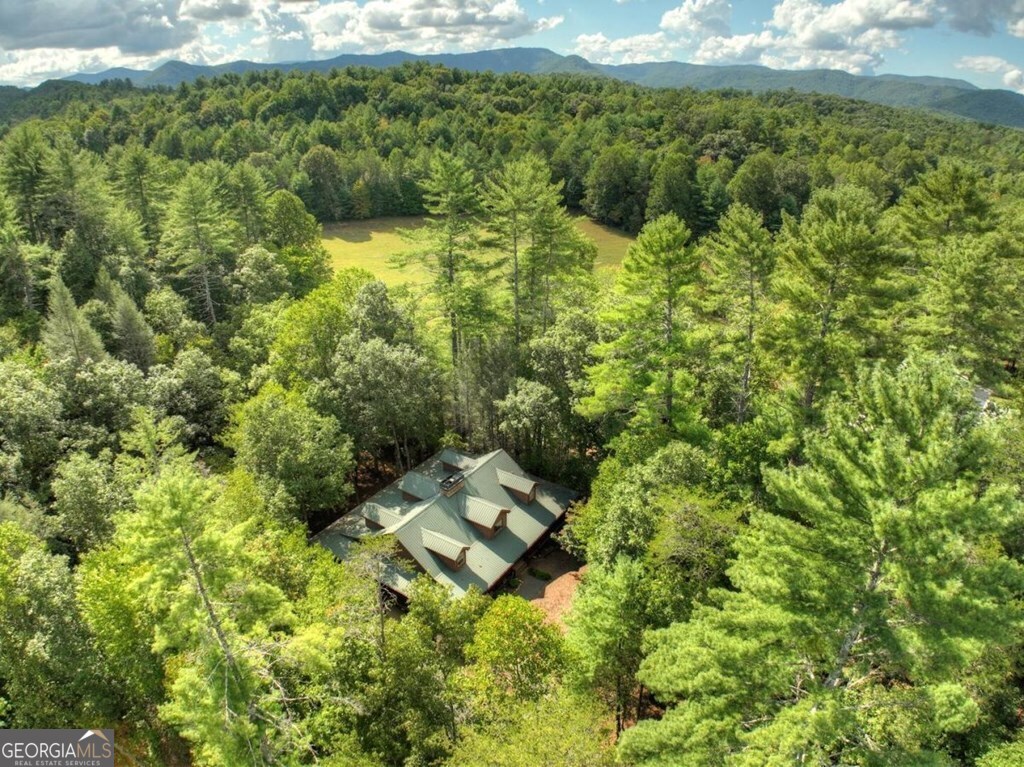 390 Twin Creeks Property Photo 56