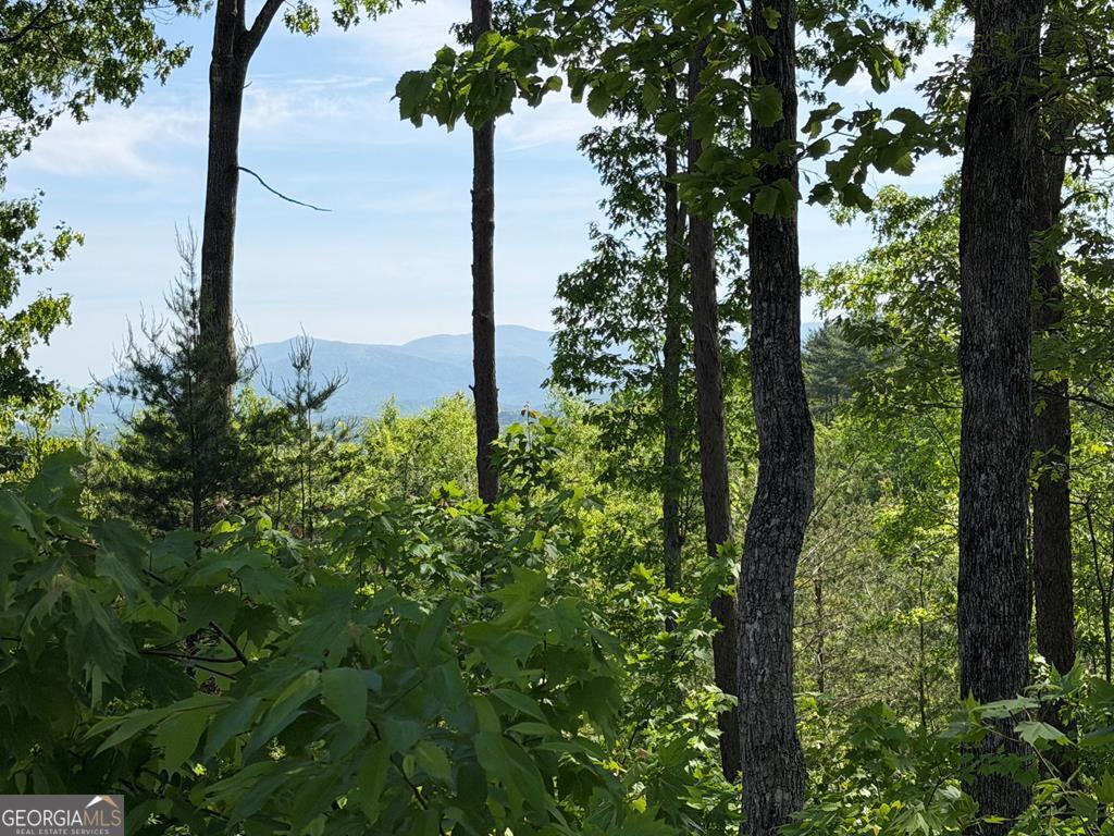 Lot 31 Summit View Lane Property Photo 1