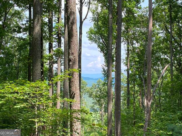 Lot 1 High Country Lane Property Photo 2