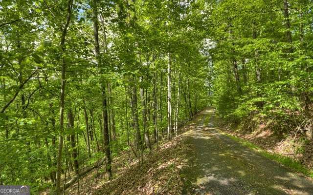 Lot 1 High Country Lane Property Photo 4