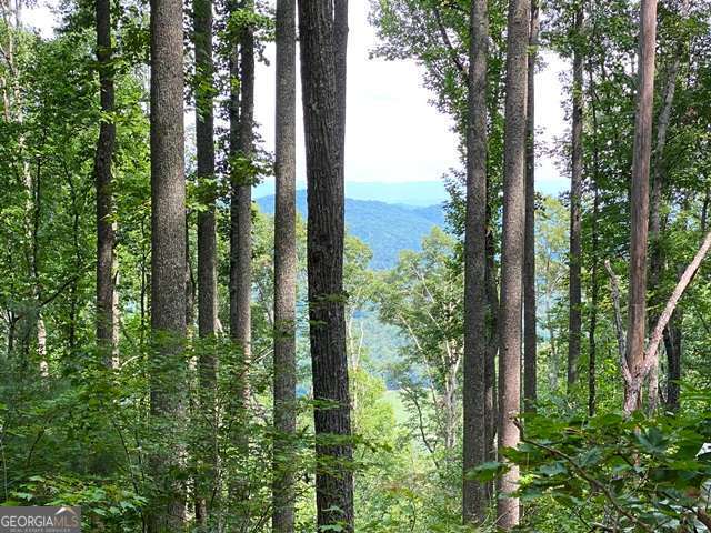 Lot 1 High Country Lane Property Photo 5