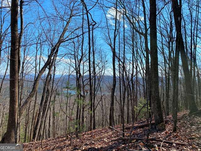 Lot 1 High Country Lane Property Photo 7