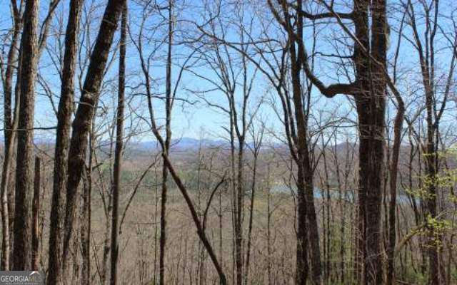 Lot 1 High Country Lane Property Photo 8