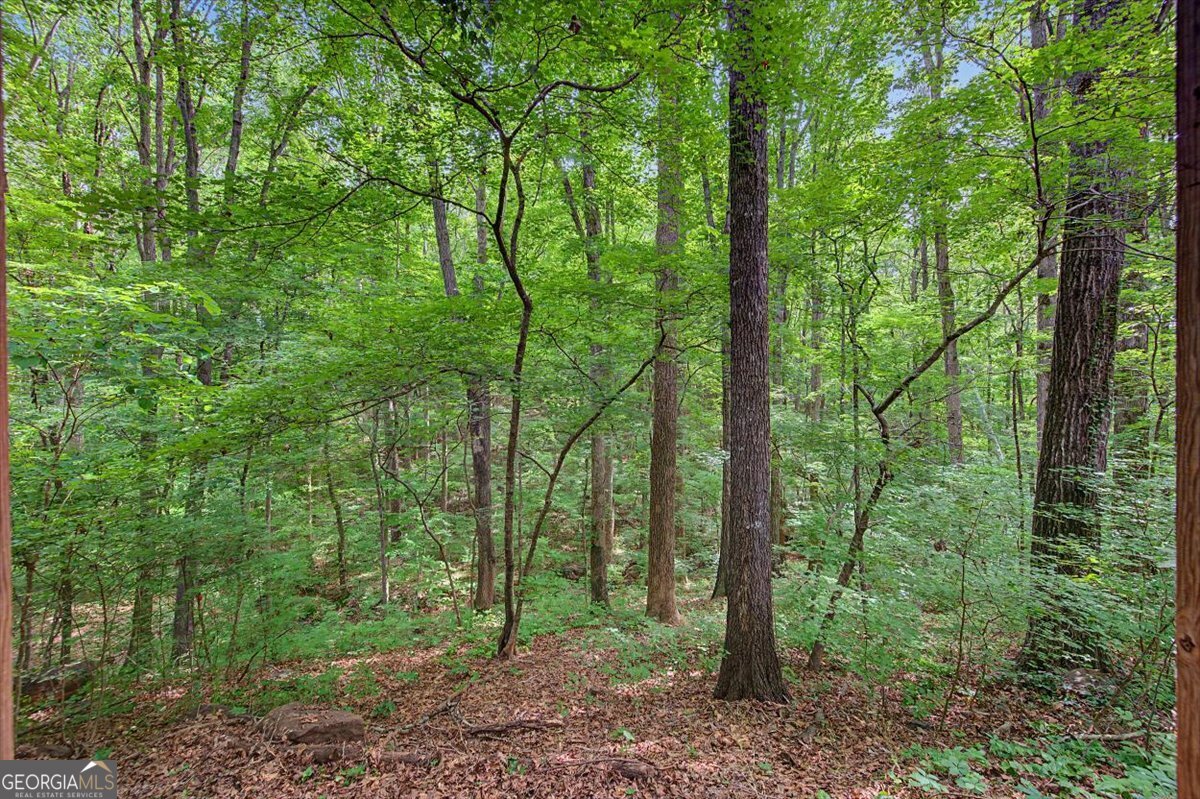 251 Paces Lakes Drive Property Photo 35