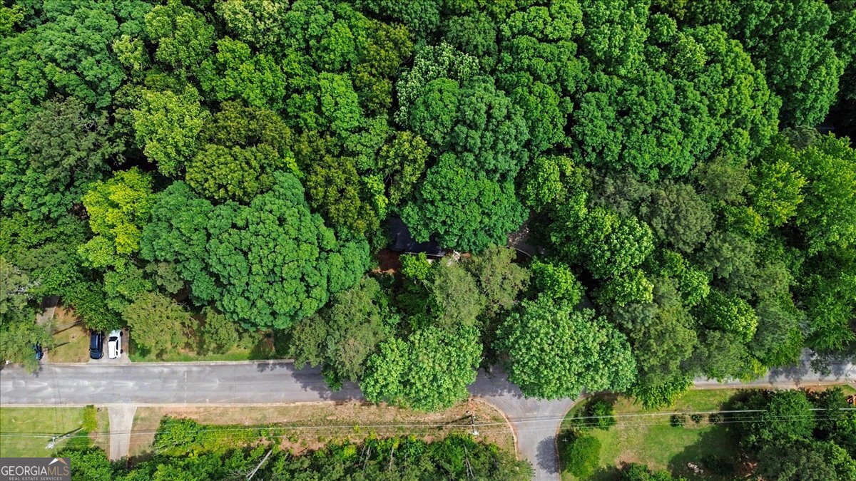 251 Paces Lakes Drive Property Photo 41